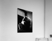 Shadow Puppet Acrylic Print