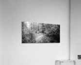 2022 June 20 RusticBridge02 Acrylic Print