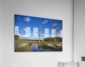 2022 July 03 Wetland01  Acrylic Print