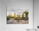 2020 July 18 BeachPath01 Acrylic Print