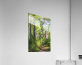 2022 Aug 03 Portal01 Acrylic Print