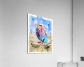 Watercolor Bird Acrylic Print