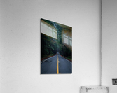 Avenue of the Giants Acrylic Print