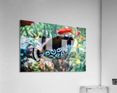 Untitled Acrylic Print
