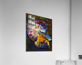 F03B99B7 EA84 4741 8283 22DAF9BE2A2D Acrylic Print