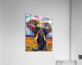 F9ACEF4A CD3D 4C58 99D3 631D6BF16ACF Acrylic Print