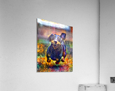 FB084CF6 EEA0 4DEF AF96 676D3E675BE1 Acrylic Print