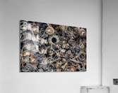 istockphoto 1006092052 1024x1024 Acrylic Print