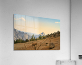 Yosemite Stone Circles Acrylic Print