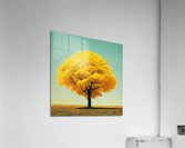 Yellow Tree Acrylic Print