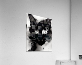 2272A4A3 0DDC 4EA7 AB98 AB514DF98EE0 Acrylic Print