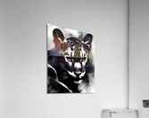 BD585803 0514 47D8 B985 B68C9009DCE0 Acrylic Print