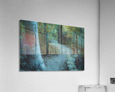Pathway Series-3 Sulphur Park Acrylic Print