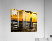 2B2601B3 1EA9 4FFB BE34 6DF4F948F7C8 Acrylic Print