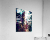 33704147 BE94 444D 9F9E 5EF8B4DED34E Acrylic Print