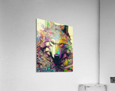 34B7B82D 83FF 4C7E 868B 985E228CDB93 Acrylic Print