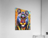 96FCC6C4 1097 46B4 A131 9927B7E592D4 Acrylic Print