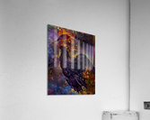 B5FD2740 A72E 49D6 940D 4ADC6C24ADD2 Acrylic Print