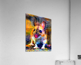 24F3370A 5AD4 438C 82BF 535766F91404 Acrylic Print