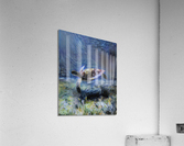 BB011F6D 2551 4BAC AF56 488A4E87622D Acrylic Print