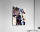 294EE4FD 5C8F 4A1F 92CF AE163A7C4F3C Acrylic Print