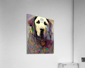 CC330153 B04E 4E1E BC4C 35AFF2B298BE Acrylic Print