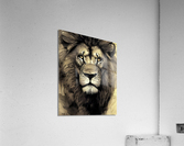 E8BEC791 67DF 4210 806E 4E4C06E9B715 Acrylic Print