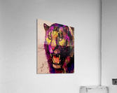 E09F4937 80E7 4298 8E05 DA2B245E6B74 Acrylic Print