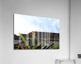 Corners Acrylic Print