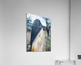 6BBE68EB 1EE1 478F 97FC 4ADC1EBFAC9B Acrylic Print