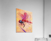 CDDC833E 88A6 4889 BB42 C9DD77D30C67 Acrylic Print