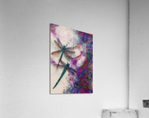 328182EB 1F76 4BE1 AD89 7C6EAFDF9AA7 Acrylic Print