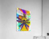 56C50A41 095F 4903 BBD1 877BFC6130AB Acrylic Print