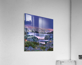 Hollywood Reservoir Acrylic Print