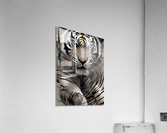 09E81BD3 2527 406D B9D7 55CF233C1533 Acrylic Print