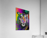 CD576478 6870 48D7 AAD8 F841769718EE Acrylic Print