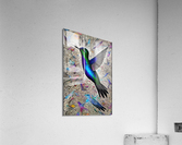 0DFC10F3 6323 440B 926B C74CD42504D8 Acrylic Print