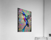 7030287B D2C1 49EC A303 5E2C1445B06A Acrylic Print