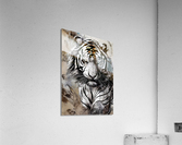 AA556497 CFF1 4936 8F16 2B4A546E24A6 Acrylic Print