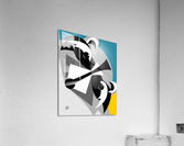 Raccoon Abstract Acrylic Print