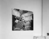 Reunion Acrylic Print