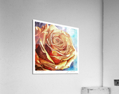 YELLOW ROSE  Acrylic Print