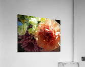 Carnation and friends Acrylic Print