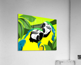 Yellow and Blue Macaw Acrylic Print