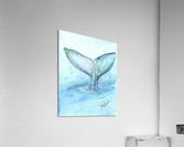 Whale Tail   Acrylic Print