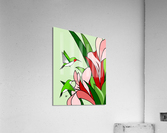 Ruby-throated Hummingbird Acrylic Print