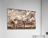 Handfull of Rain Acrylic Print