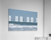 Seagull flying over waves Acrylic Print