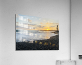 9A8D21FC 0C89 4268 9331 8B70AABA1A54 Acrylic Print