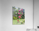 8E40C966 C272 4FD6 BC86 36B25337B445 Acrylic Print